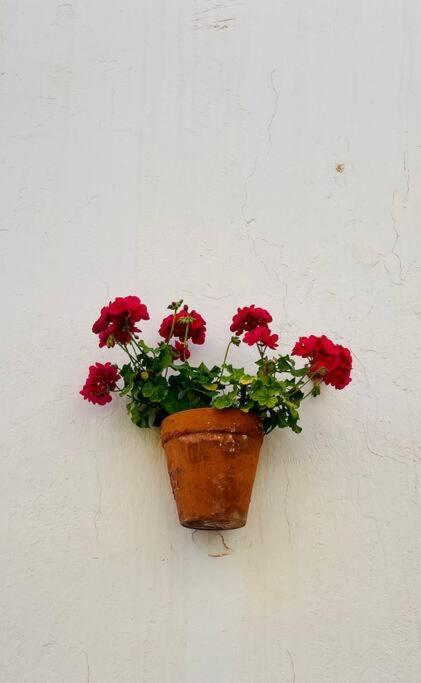 Couples Only, Beautiful 1 Bedroom Apartment In Victoria Building Mojácar Exterior photo